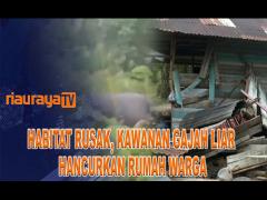 BEBERAPA RUMAH WARGA KAMPAR DI RUSAK GAJAH LIAR